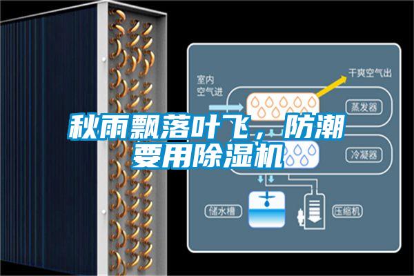 秋雨飘落叶飞，防潮要用除湿机