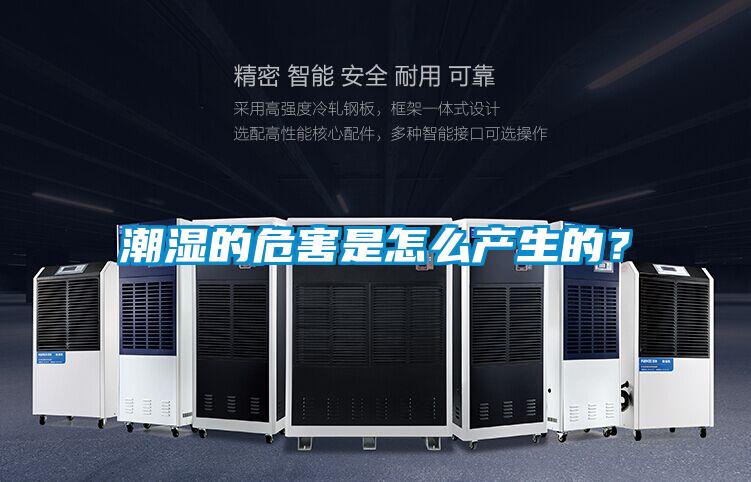 潮湿的危害是怎么产生的?