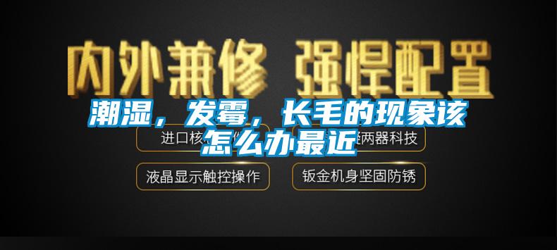 潮湿，发霉，长毛的现象该怎么办最近