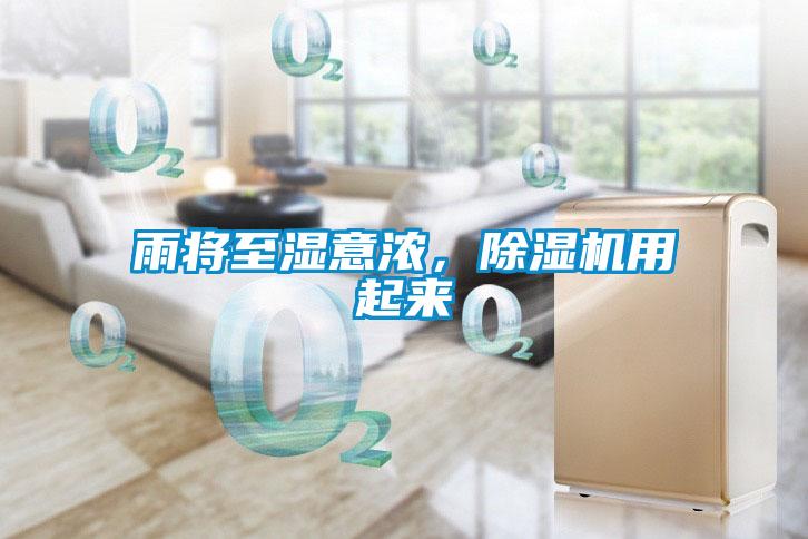 雨将至湿意浓，除湿机用起来