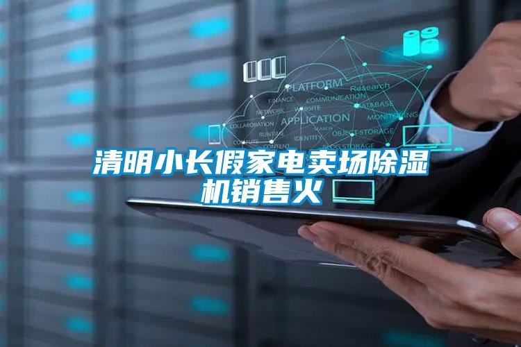 清明小长假家电卖场除湿机销售火