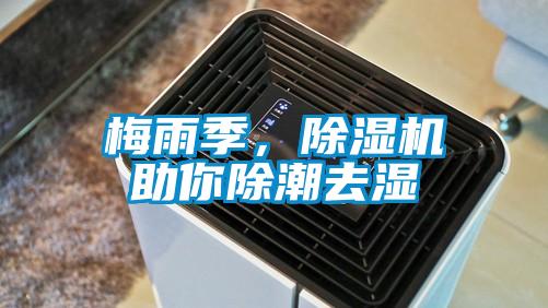 梅雨季，除湿机助你除潮去湿