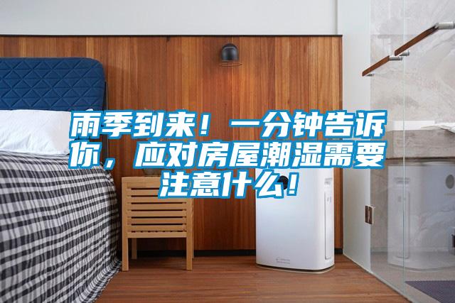 雨季到来！一分钟告诉你，应对房屋潮湿需要注意什么！