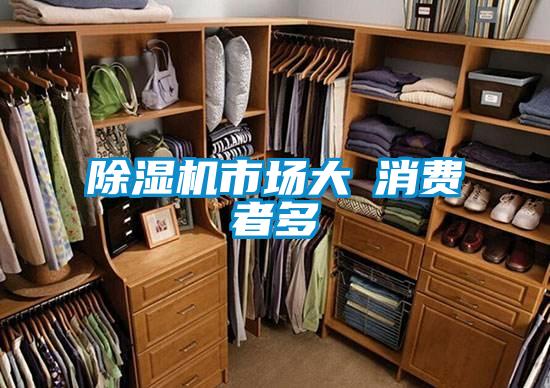 除湿机市场大≠消费者多