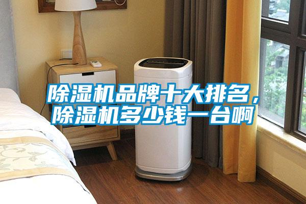 除湿机品牌十大排名，除湿机多少钱一台啊