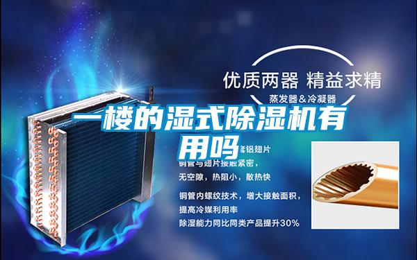 一楼的湿式除湿机有用吗