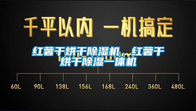 红薯干烘干除湿机，红薯干烘干除湿一体机