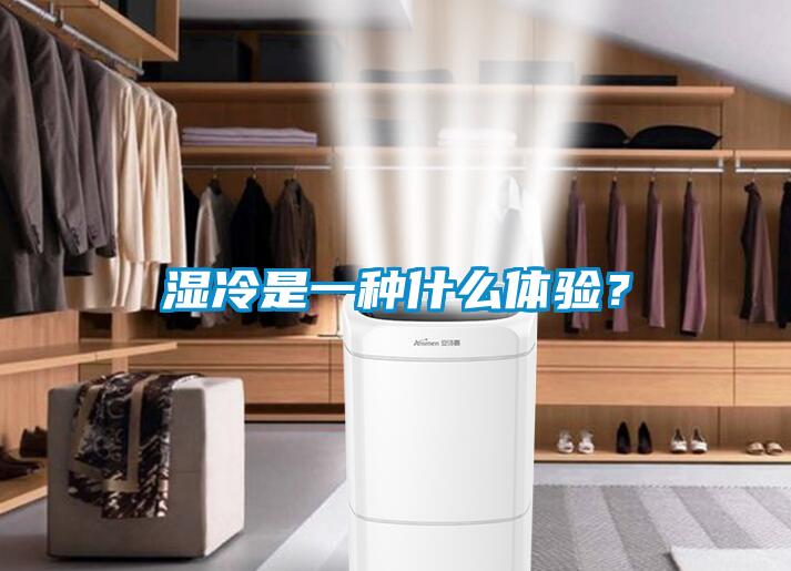 湿冷是一种什么体验？