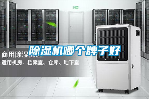 除湿机哪个牌子好
