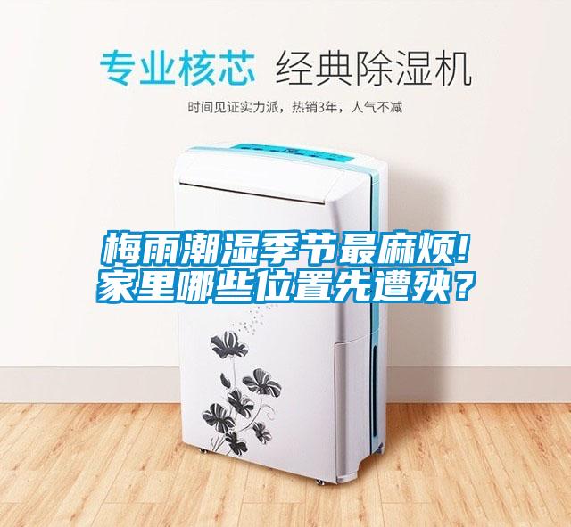 梅雨潮湿季节最麻烦!家里哪些位置先遭殃？