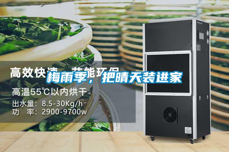 梅雨季，把晴天装进家
