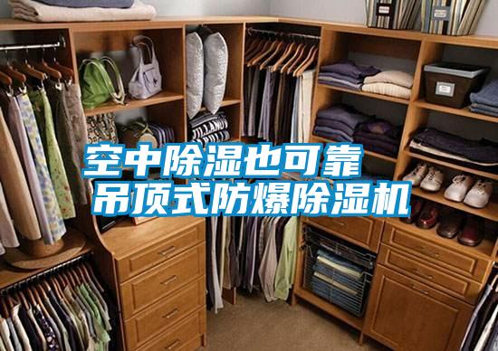 空中除湿也可靠 吊顶式防爆除湿机
