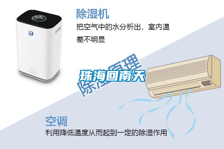 珠?；啬咸?/></p>
						    <p style=