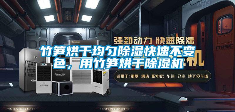 竹笋烘干均匀除湿快速不变色，用竹笋烘干除湿机