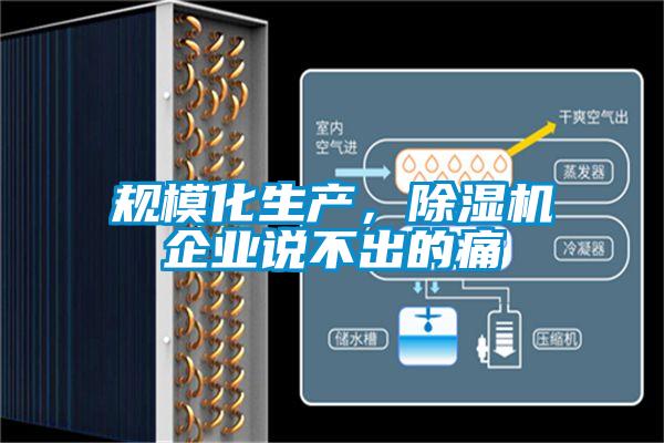 规模化生产，除湿机企业说不出的痛