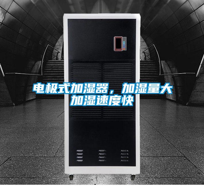 电极式加湿器，加湿量大加湿速度快