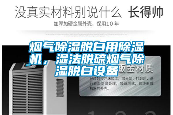 烟气除湿脱白用除湿机,湿法脱硫烟气除湿脱白设备