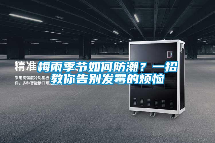 梅雨季节如何防潮？一招教你告别发霉的烦恼