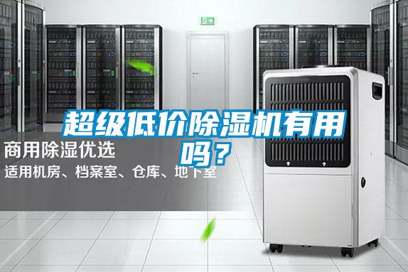 超级低价除湿机有用吗？
