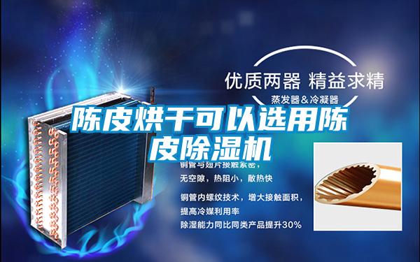 陈皮烘干可以选用陈皮除湿机