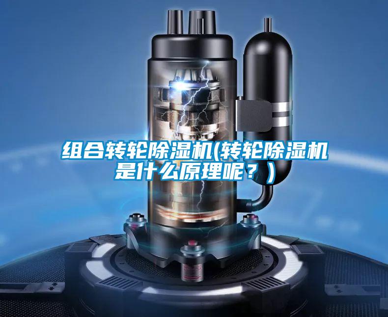 组合转轮除湿机(转轮除湿机是什么原理呢？)