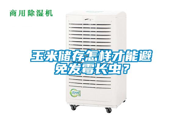 玉米储存怎样才能避免发霉长虫？