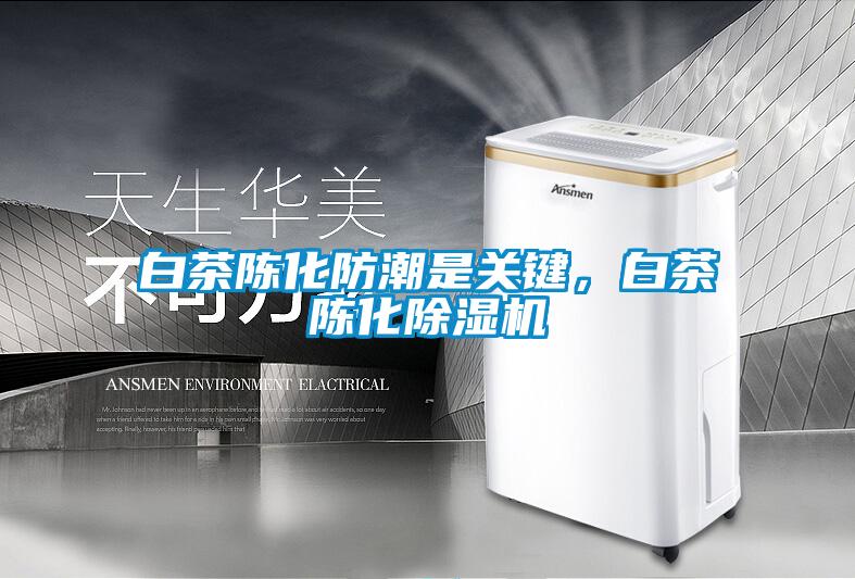 白茶陈化防潮是关键，白茶陈化除湿机