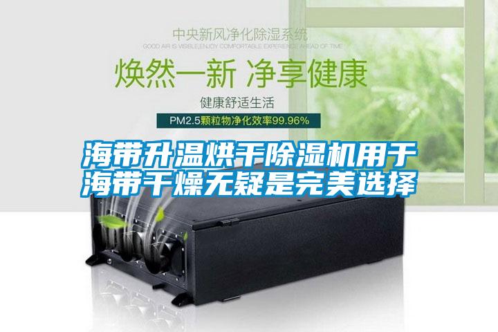 海带升温烘干除湿机用于海带干燥无疑是完美选择