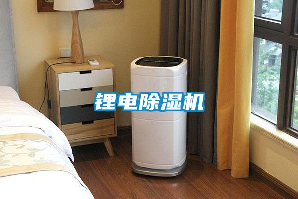锂电除湿机