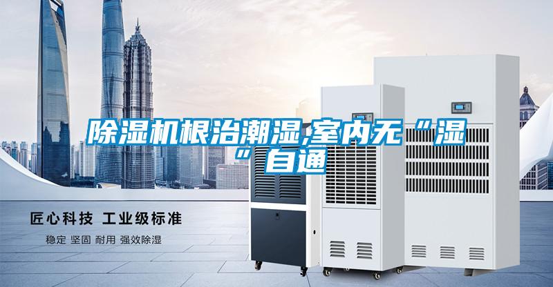 除湿机根治潮湿,室内无“湿”自通