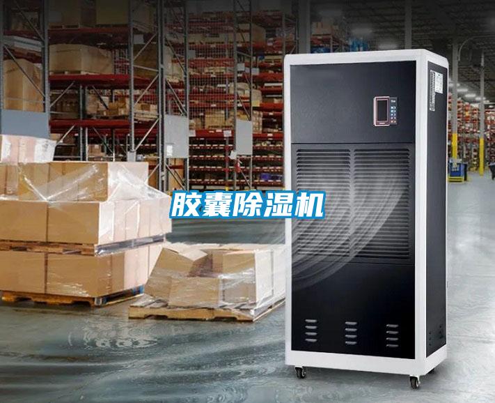 胶囊除湿机