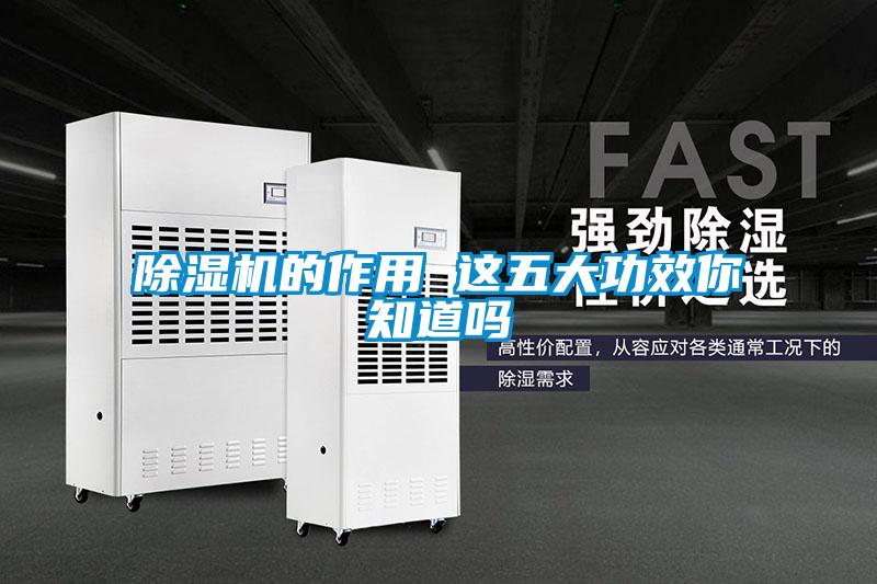 除湿机的作用 这五大功效你知道吗