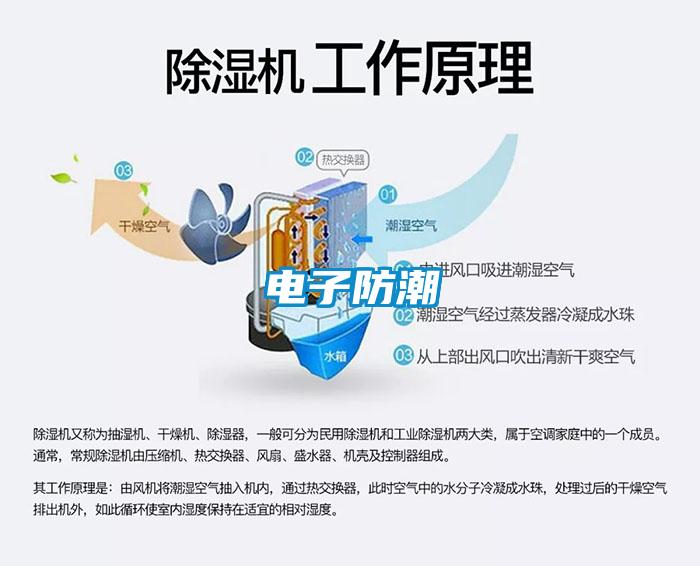 电子防潮