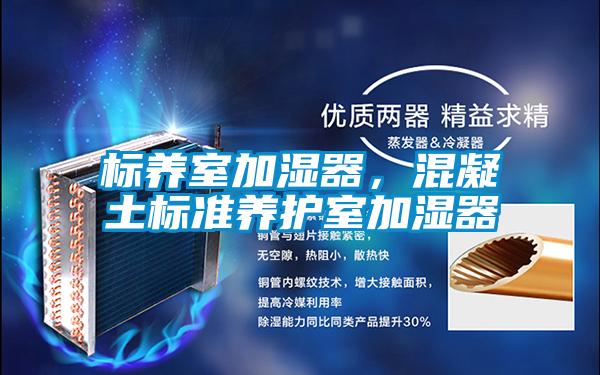 标养室加湿器，混凝土标准养护室加湿器