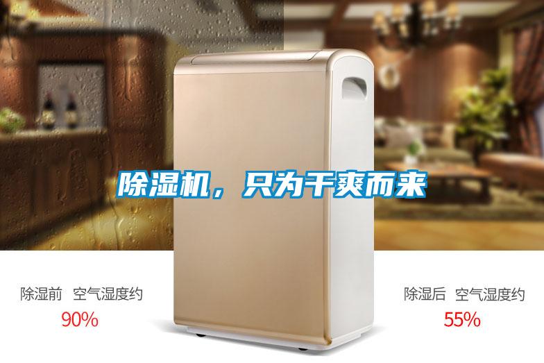 除湿机，只为干爽而来