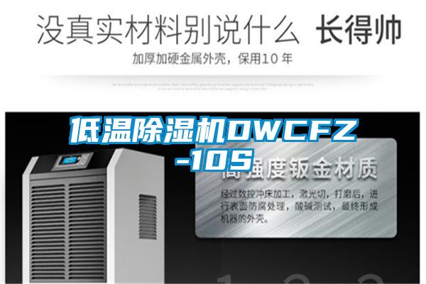 低温除湿机DWCFZ-10S