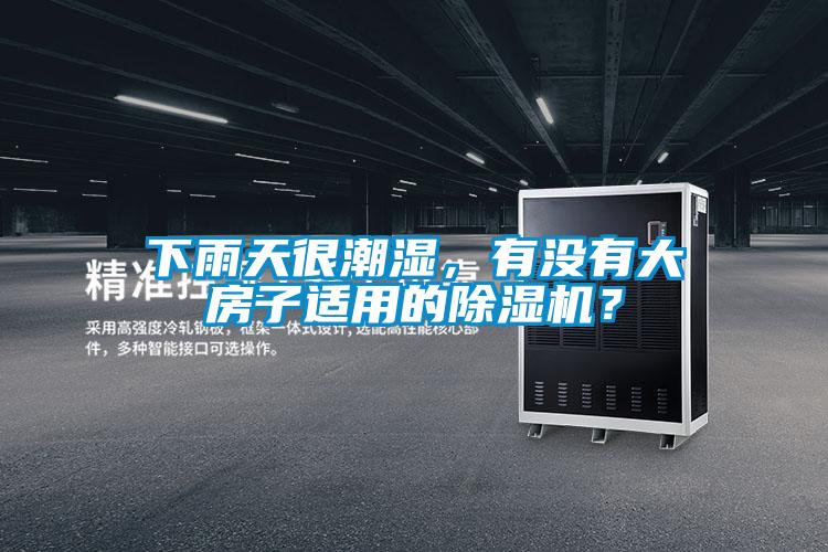 下雨天很潮湿，有没有大房子适用的除湿机？