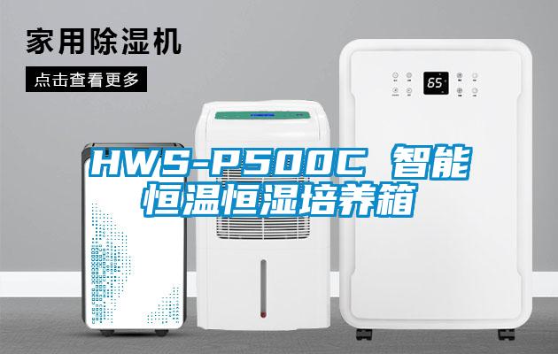 HWS-P500C 智能恒温恒湿培养箱