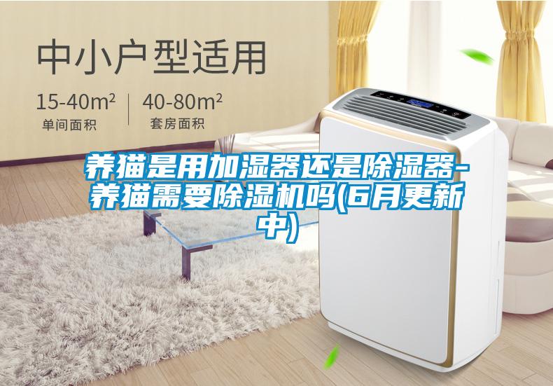 养猫是用加湿器还是除湿器-养猫需要除湿机吗(6月更新中)