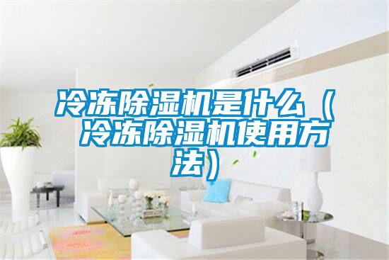 冷冻除湿机是什么( 冷冻除湿机使用方法)