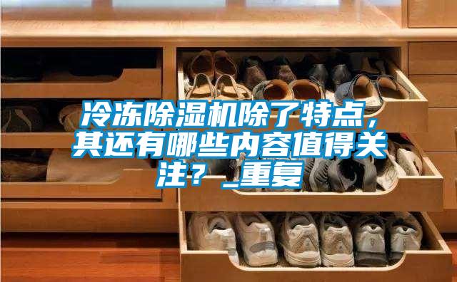 冷冻除湿机除了特点，其还有哪些内容值得关注？_重复