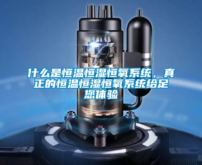 什么是恒温恒湿恒氧系统，真正的恒温恒湿恒氧系统给足您体验