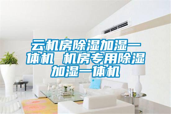 云机房除湿加湿一体机 机房专用除湿加湿一体机