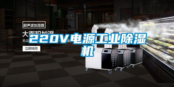 220V电源工业除湿机