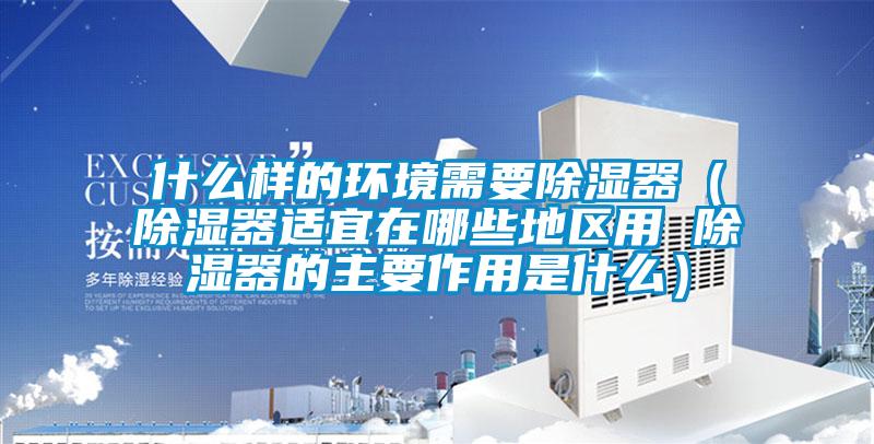什么样的环境需要除湿器（除湿器适宜在哪些地区用 除湿器的主要作用是什么）
