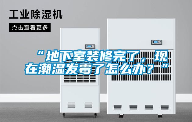 “地下室装修完了，现在潮湿发霉了怎么办？”