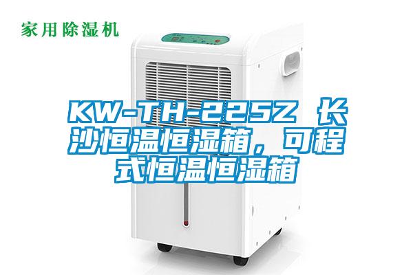KW-TH-225Z 长沙恒温恒湿箱，可程式恒温恒湿箱