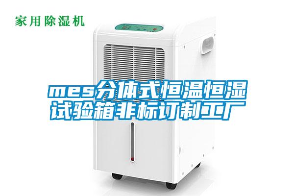 mes分体式恒温恒湿试验箱非标订制工厂