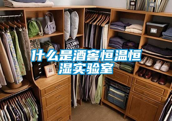 什么是酒窖恒温恒湿实验室