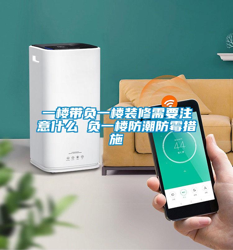 一楼带负一楼装修需要注意什么 负一楼防潮防霉措施